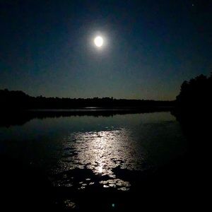 Meet your Posher, Barbara